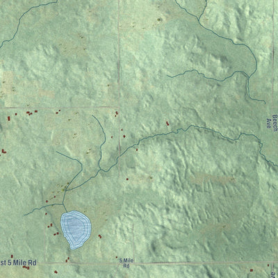 Close-up of the map of Goodwell, Michigan print showing street and building detail