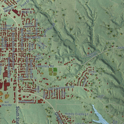 Close-up of the map of Freeburg, Illinois print showing street and building detail