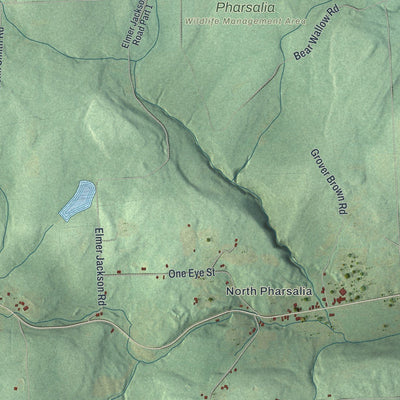 Close-up of the map of Pharsalia, New York print showing street and building detail