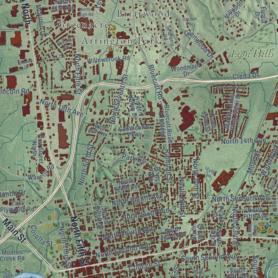 Close-up of the map of Columbus, Mississippi print showing street and building detail