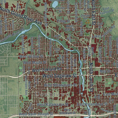 Close-up of the map of Lansing, Michigan print showing street and building detail