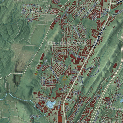 Close-up of the map of Pelham, Alabama print showing street and building detail