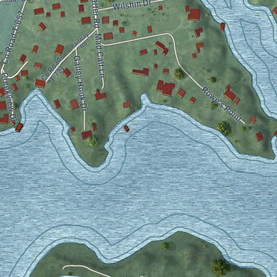 Close-up of the map of Irvington, Virginia print showing street and building detail