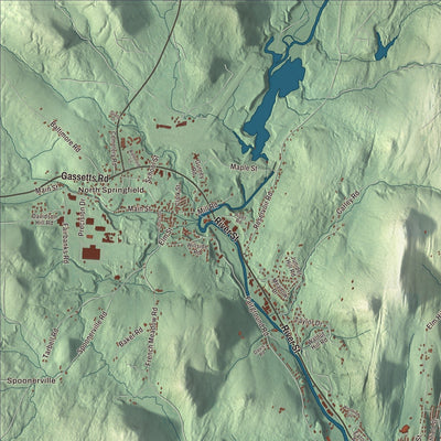 Close-up of the map of Springfield, Vermont print showing streets and neighborhoods