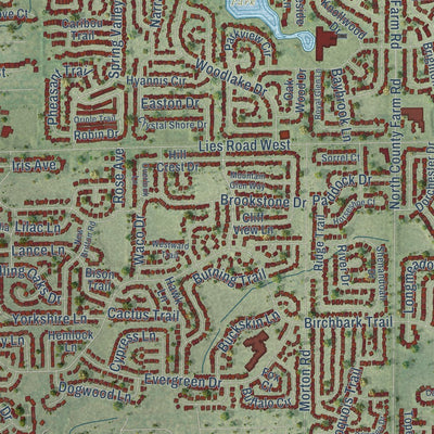 Close-up of the map of Carol Stream, Illinois print showing street and building detail