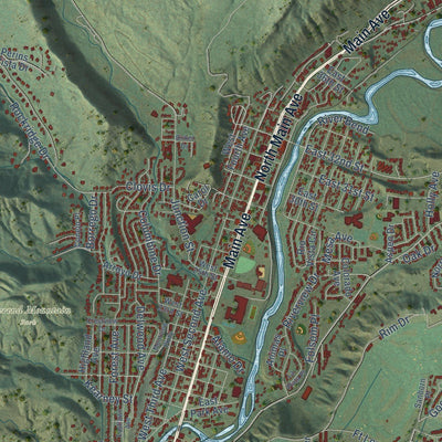 Close-up of the map of Durango, Colorado print showing street and building detail