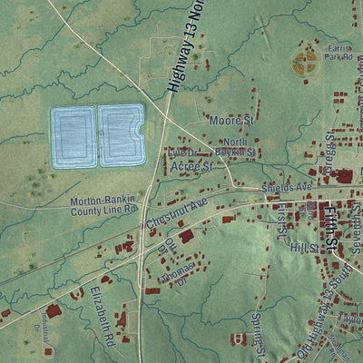 Close-up of the map of Morton, Mississippi print showing street and building detail