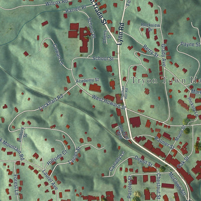 Close-up of the map of Tryon, North Carolina print showing street and building detail