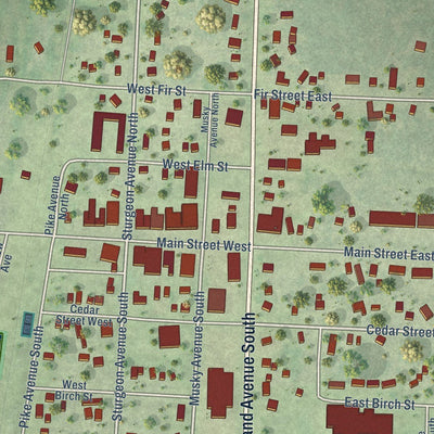 Close-up of the map of Webster, Burnett County, Wisconsin print showing street and building detail