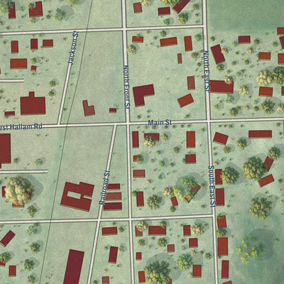 Close-up of the map of Hallam, Nebraska print showing street and building detail