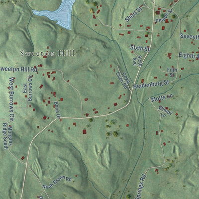 Close-up of the map of Coalmont, Tennessee print showing street and building detail