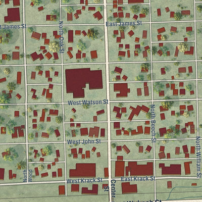 Close-up of the map of Forrest, Illinois print showing street and building detail