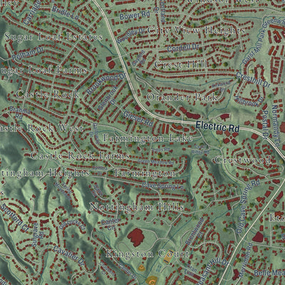Close-up of the map of Cave Spring, Virginia print showing street and building detail
