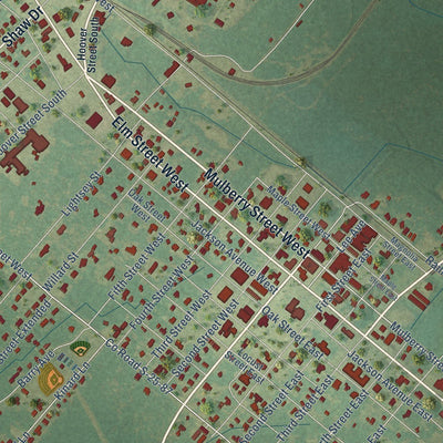 Close-up of the map of Hampton, South Carolina print showing street and building detail