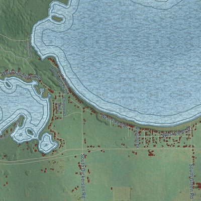 Close-up of the map of Lake, Missaukee County, Michigan print showing street and building detail
