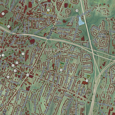 Close-up of the map of Meriden, Connecticut print showing street and building detail