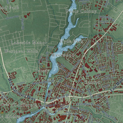 Close-up of the map of Salisbury, Maryland print showing street and building detail