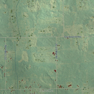 Close-up of the map of Lee, Calhoun County, Michigan print showing street and building detail