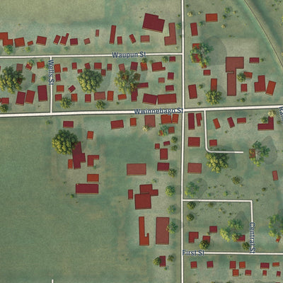 Close-up of the map of Friesland, Wisconsin print showing street and building detail