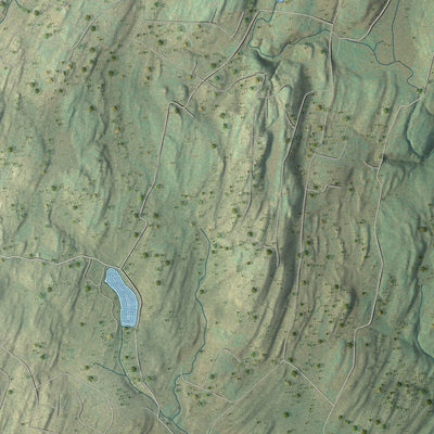 Close-up of the map of Walpack, New Jersey print showing street and building detail