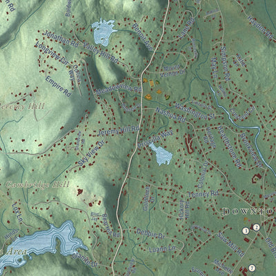 Close-up of the map of Pelham, New Hampshire print showing street and building detail