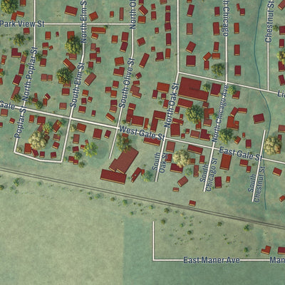 Close-up of the map of Williamsfield, Illinois print showing street and building detail