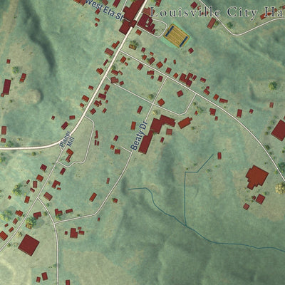 Close-up of the map of Louisville, Alabama print showing street and building detail