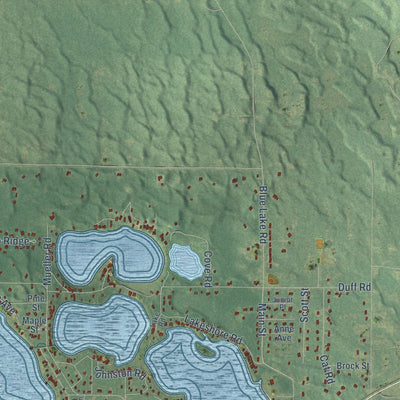 Close-up of the map of Dalton, Michigan print showing street and building detail