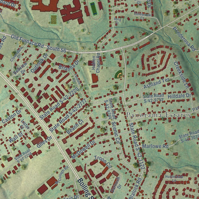 Close-up of the map of Boiling Springs, South Carolina print showing street and building detail