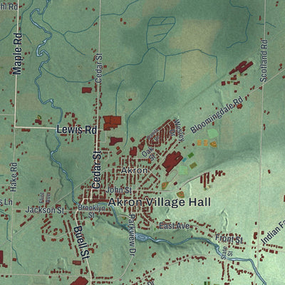 Close-up of the map of Newstead, New York print showing street and building detail