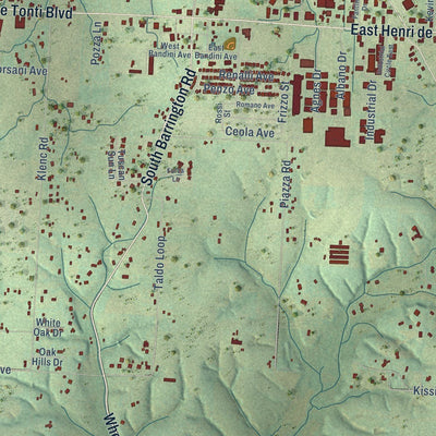 Close-up of the map of Tontitown, Arkansas print showing street and building detail