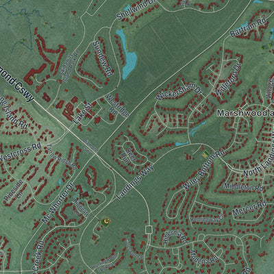 Close-up of the map of Skidaway Island, Georgia print showing street and building detail