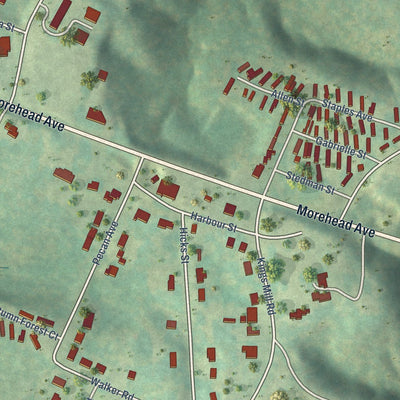 Close-up of the map of Ridgeway, Virginia print showing street and building detail