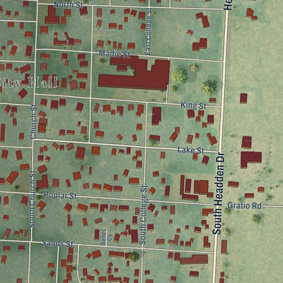 Close-up of the map of Ridgely, Tennessee print showing street and building detail
