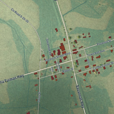 Close-up of the map of Furman, South Carolina print showing street and building detail