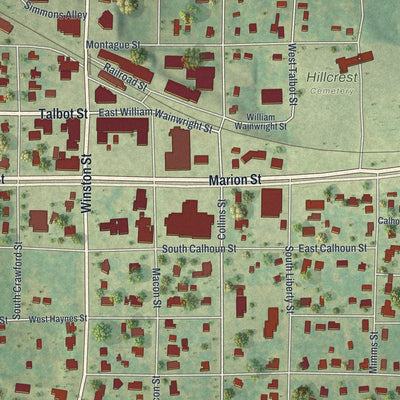 Close-up of the map of Reynolds, Georgia print showing street and building detail