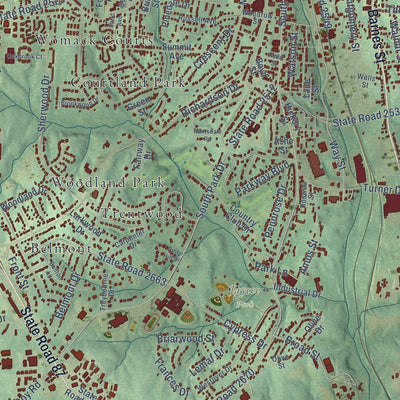 Close-up of the map of Reidsville, North Carolina print showing street and building detail
