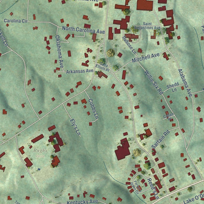 Close-up of the map of Sewanee, Tennessee print showing street and building detail