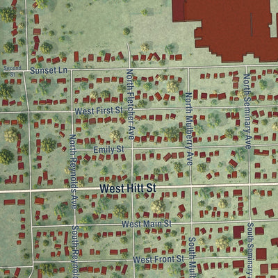 Close-up of the map of Mount Morris, Illinois print showing street and building detail