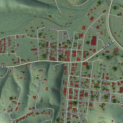 Close-up of the map of Ellington, Missouri print showing street and building detail