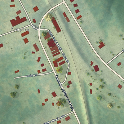Close-up of the map of Pamplin City, Virginia print showing street and building detail
