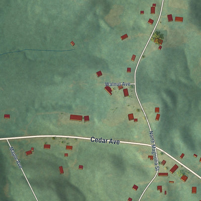 Close-up of the map of Myrtlewood, Alabama print showing street and building detail