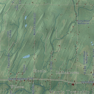 Close-up of the map of Harris, Michigan print showing street and building detail