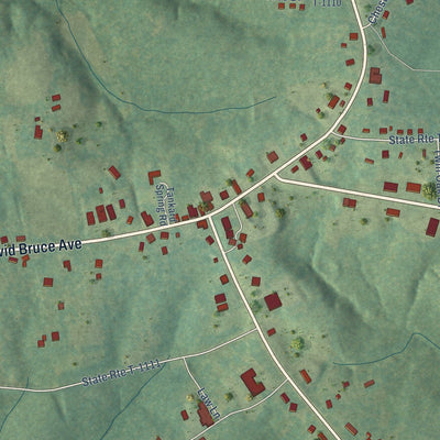 Close-up of the map of Charlotte Court House, Virginia print showing street and building detail
