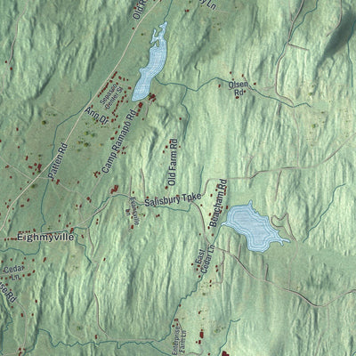 Close-up of the map of the Town of Rhinebeck, New York print showing street and building detail