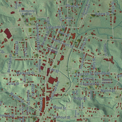 Close-up of the map of Water Valley, Mississippi print showing street and building detail