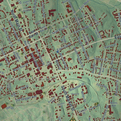 Close-up of the map of Lancaster, South Carolina print showing street and building detail