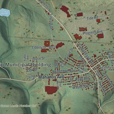 Close-up of the map of Rush, Schuylkill County, Pennsylvania print showing street and building detail