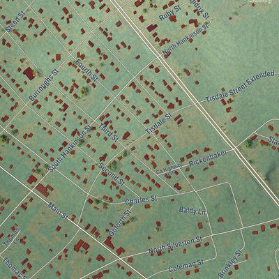 Close-up of the map of Jackson, South Carolina print showing street and building detail