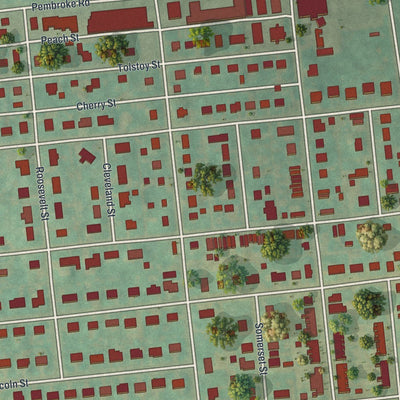 Close-up of the map of Freemansburg, Pennsylvania print showing street and building detail